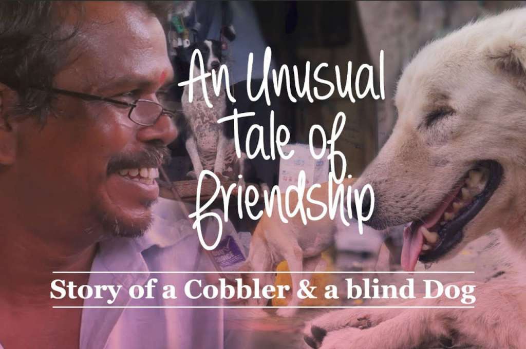 Short Doc | Blind dog and his&nbsp;master