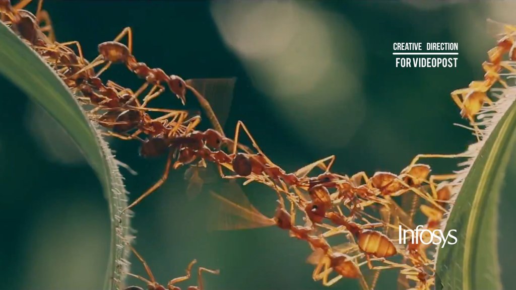 Marketing Video |  Infosys -Live&nbsp;Enterprise